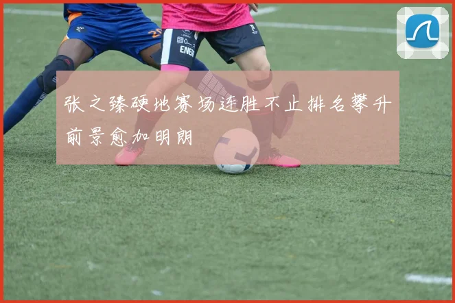 张之臻硬地赛场连胜不止排名攀升前景愈加明朗